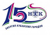 Об истории создания и становления компании НЭСК