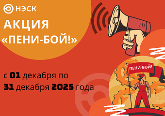 АО «НЭСК» объявило акцию по списанию пени